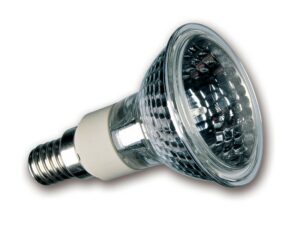 Clearance Light Bulbs