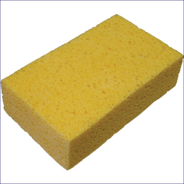FAITLSPONGE.jpg
